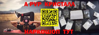 крисы Кинель