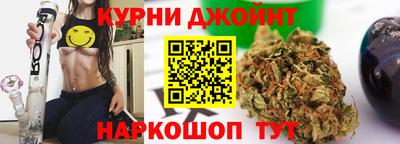 крисы Кинель