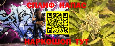 гашик Кингисепп