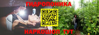 дмт Кимры