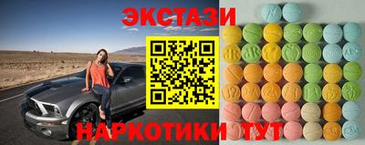 гашик Кингисепп