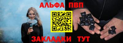 гашик Кингисепп