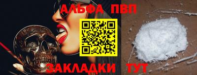 гашик Кингисепп